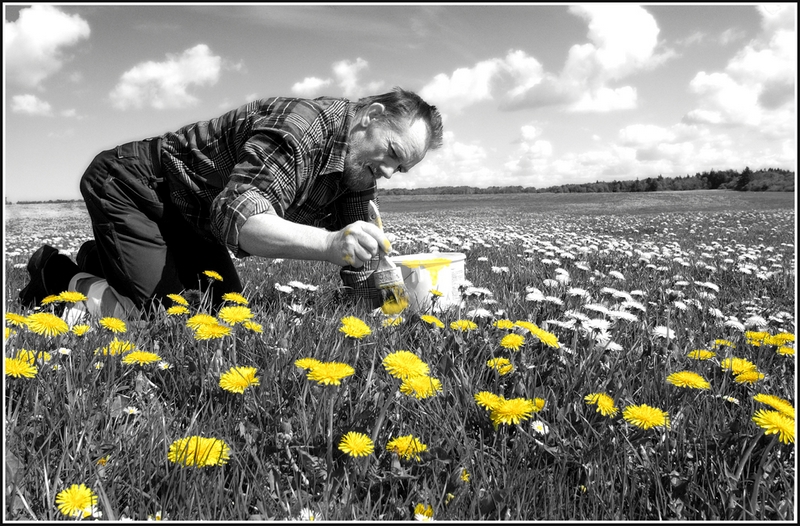 16 - DANDELION PAINTER - SKOV SOREN - denmark.jpg